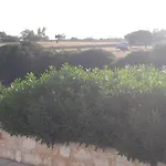 بيت للعطل La Maison D'helene ناوسا